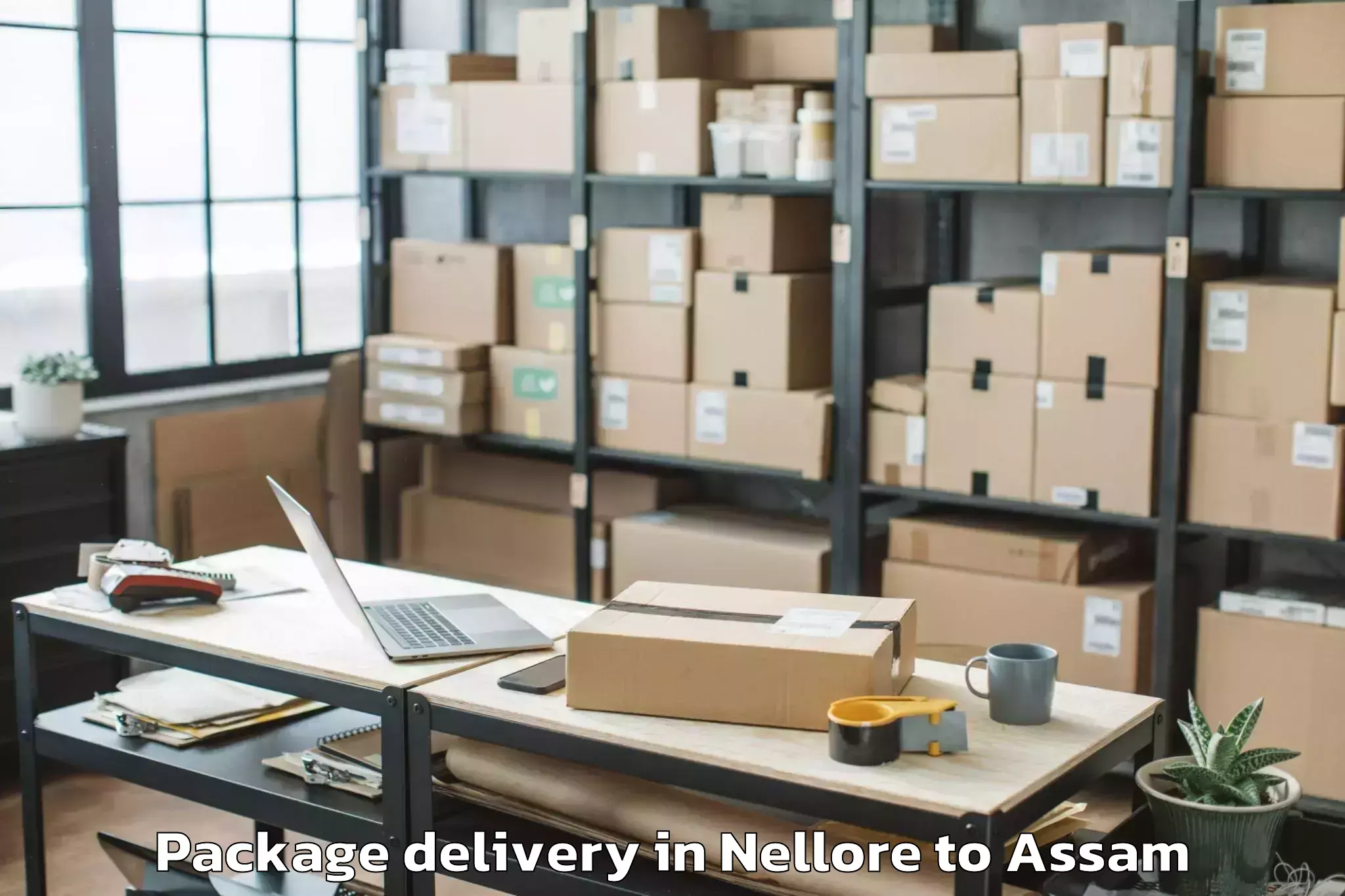 Expert Nellore to Dergaon Package Delivery